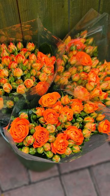 Multiple bouquets of fresh orange roses with tightly closed buds and some partially open blooms, wrapped in clear cellophane and dark green tissue paper, are arranged on a brick surface. The roses hav