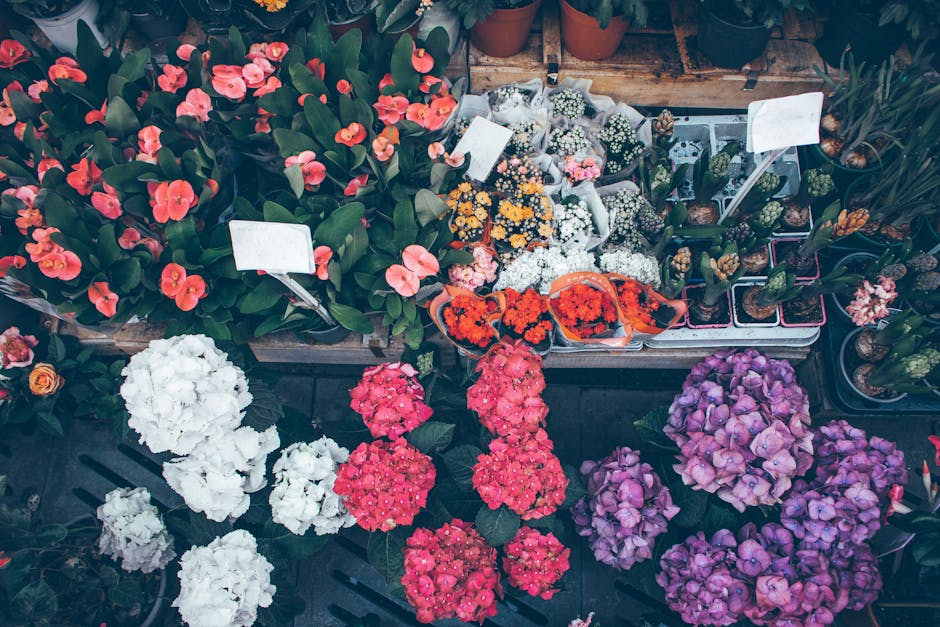 A vibrant display of various flowering plants and floral arrangements at a florist shop, including bright pink, white, purple, and orange blossoms. The white and pink hydrangeas are in full bloom, wit